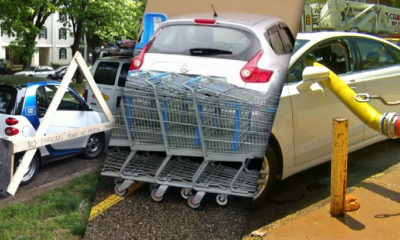 Insanely Awful Park Jobs