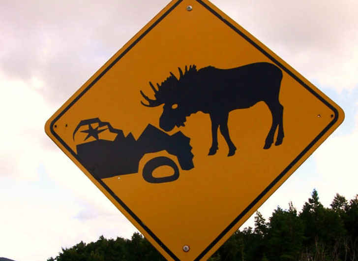 Can You Identify These Road Signs From Around The World?