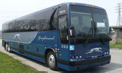 Greyhound’s Mission to Reunite Families