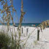 Florida’s Grayton Beach State Park Named Best U.S. Beach for 2020