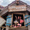 Petition Calls For Splash Mountain Theme Changed to ‘Princess and the Frog’