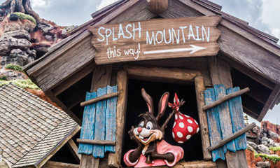 Petition Calls For Splash Mountain Theme Changed to ‘Princess and the Frog’