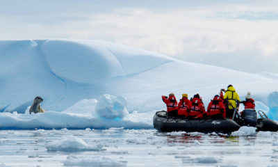 Disney Launching Once-in-a-Lifetime Cruise to Antarctica