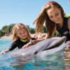 Expedia Will No Longer Sell Tickets to SeaWorld