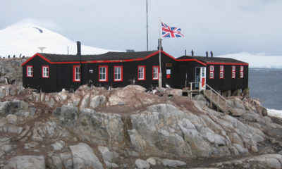 Remote Antarctic Island Looking for New Post Office Staff and Penguin Counter!