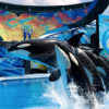 SeaWorld Orlando Named Best Theme Park in the Country