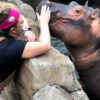Cincinnati Zoo Welcomes Baby Hippo